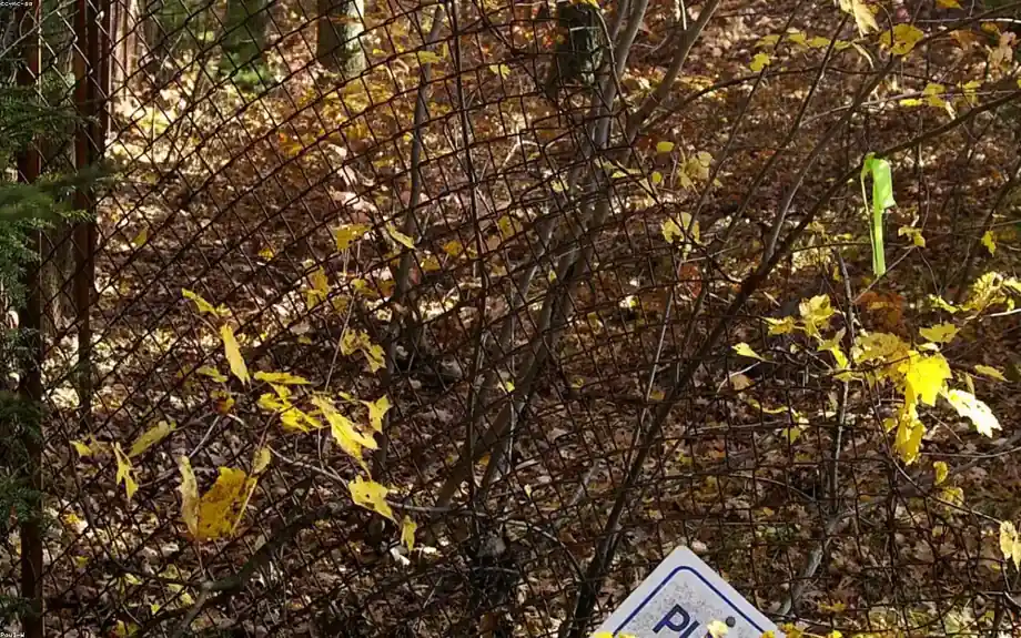 fallen tree on fence insurance claim documentation