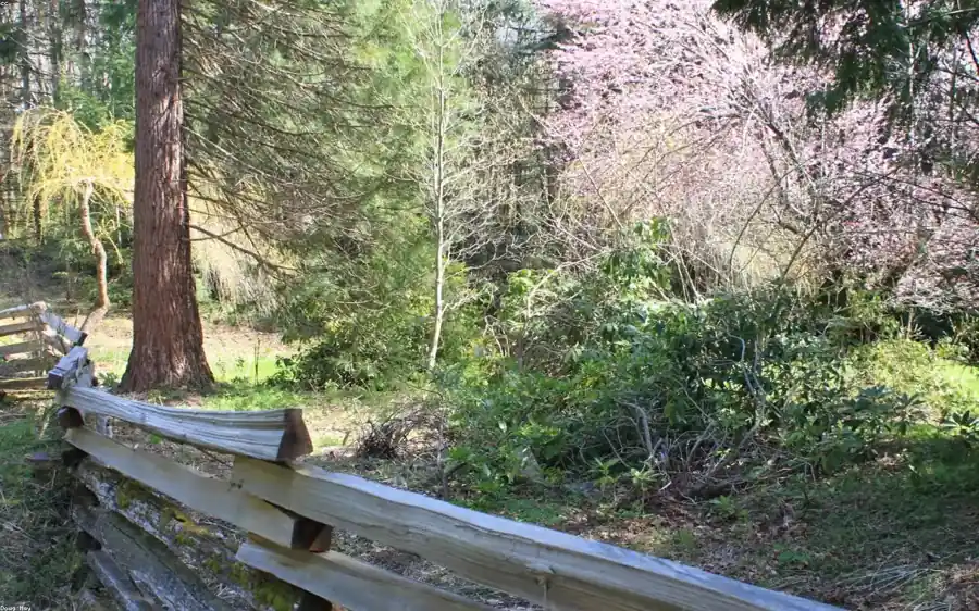fence installation greenway beaverton on a 1970s craftsman rancher backing onto a park
